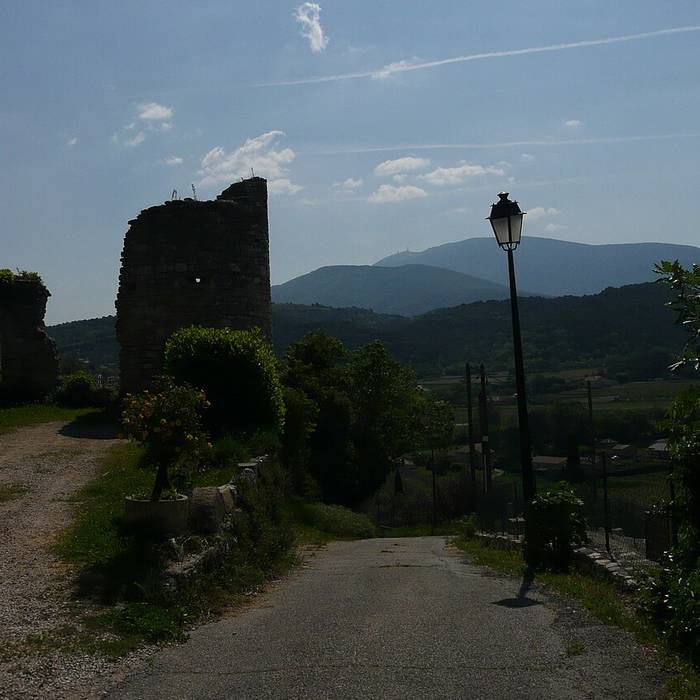 Photo de Ruines du Château dEntrechaux